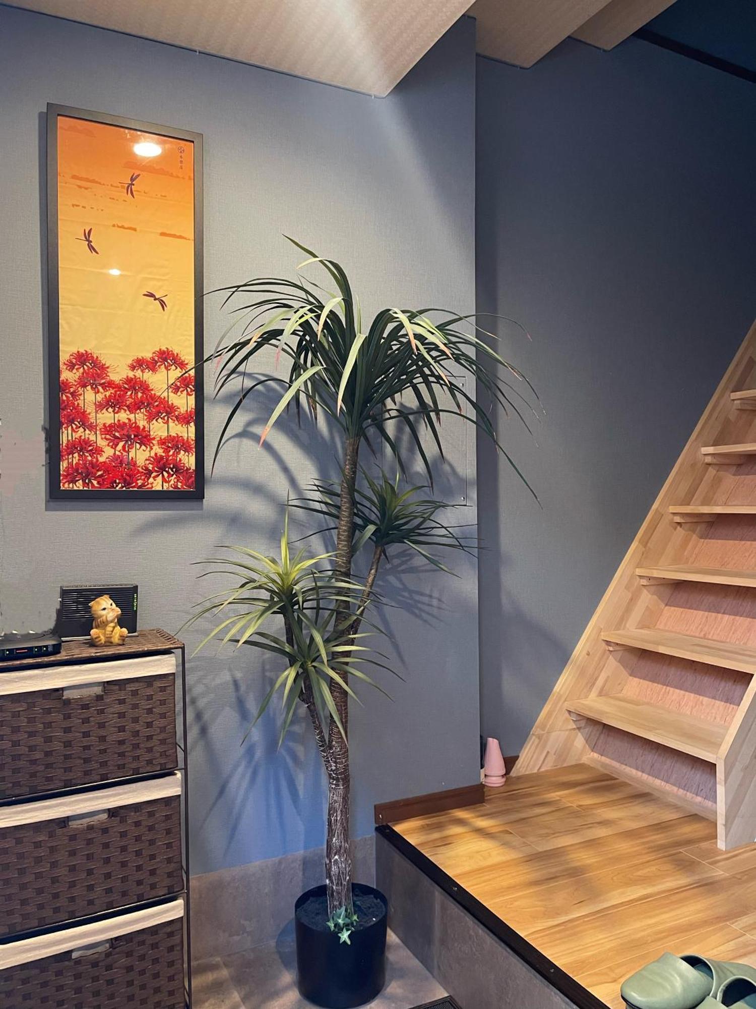 Namba Shinsaibashi 10 Mins Reiko Guest House Osaka Exterior photo